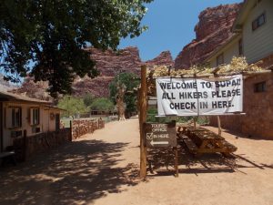 The only place in the country where mail is delivered by mule is the village of Supai, located at the bottom of the Grand Canyon.