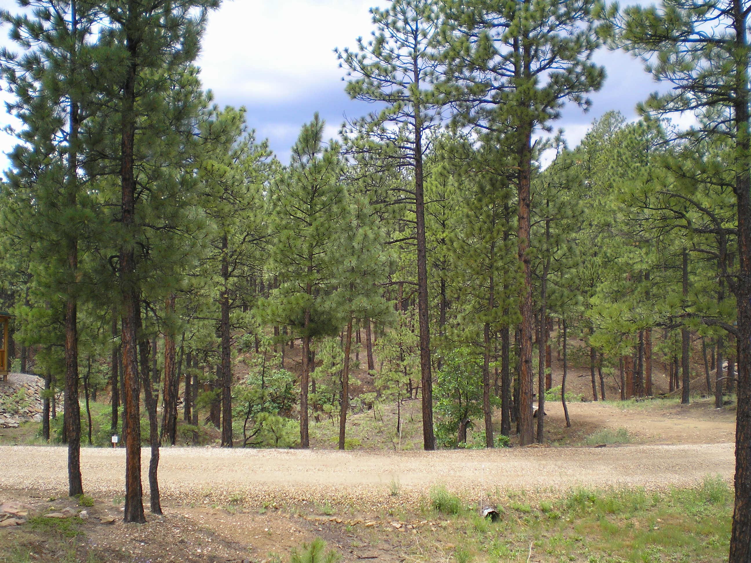 New Mexico RV Lots For Sale « RV Property
