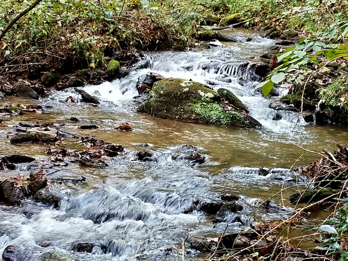 North Carolina RV Lots For Rent RV Property RV Property